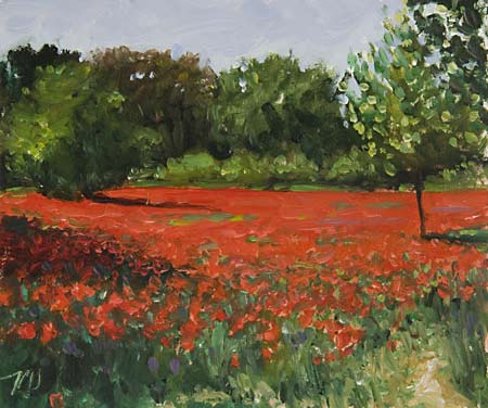 daily painting titled Champ de Coquelicots