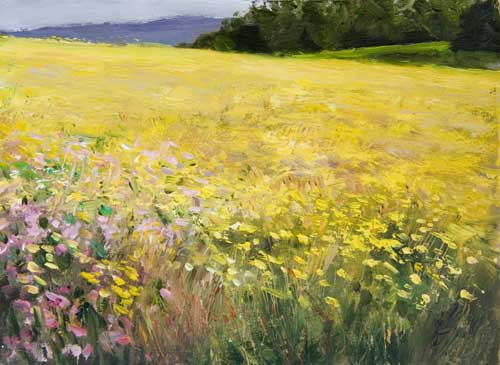 daily painting titled Midsummer Meadow