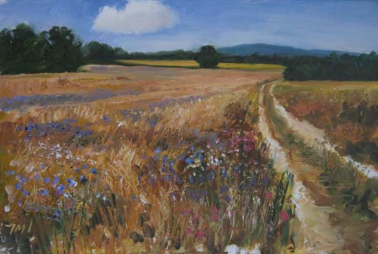 daily painting titled Wheatfield with Cornflowers