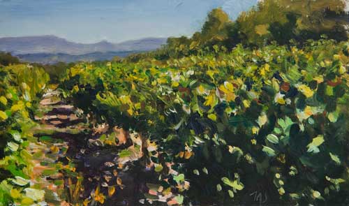 daily painting titled Vines at Gigondas