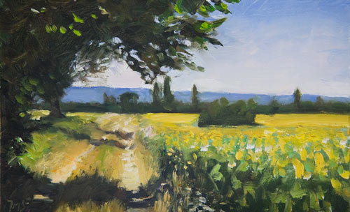 daily painting titled Track through Sunflowers