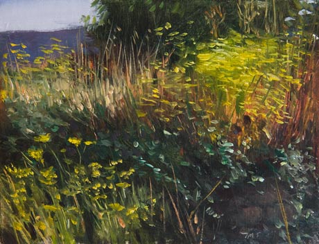daily painting titled Bank of Wild Fennel