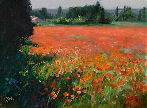 daily painting titled Field of Poppies, Morning