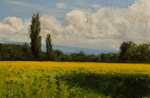 daily painting titled Field of Sunflowers