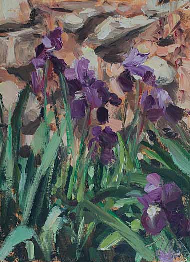 daily painting titled Irises against the house