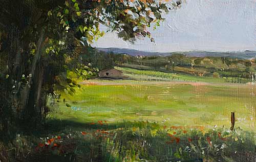 daily painting titled Wheatfield in spring