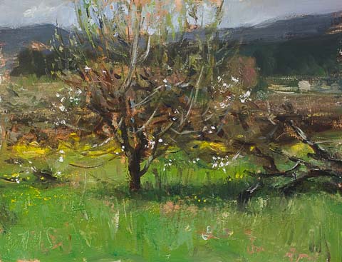 daily painting titled Overgrown cherry orchard