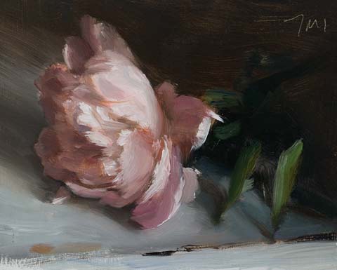 daily painting titled Peony