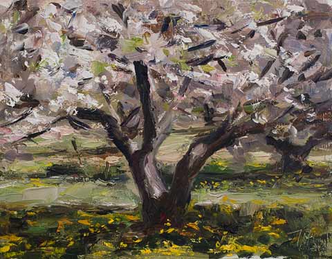 daily painting titled Cherry blossom