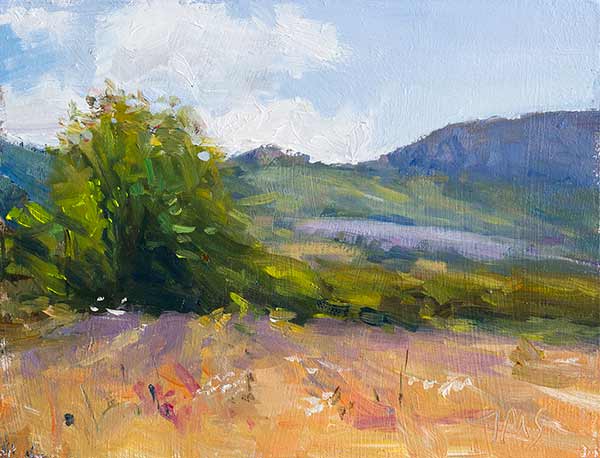 daily painting titled Lavender fields in the mountains