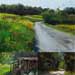Three landscapes, daily painting, posted on Friday May 2 2025 Three landscapes