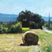 Daily painting title: Haybales near Villes-sur-Auzon, painted Thursday Jun 5 2025$> and posted in category <$mt:EntryCategory$></a>
<br class=