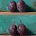 Plums with blue/green background , daily painting, posted on Friday Sep 12 2025 Plums with blue/green background