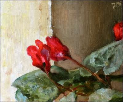 daily painting titled Cyclamen on a Window Sill