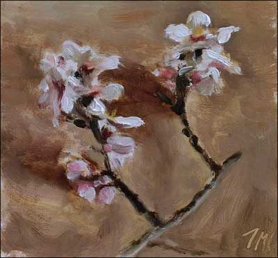daily painting titled Almond Blossom