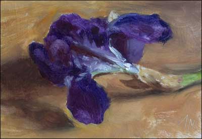 daily painting titled Iris #2
