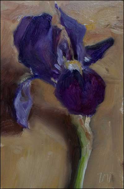 daily painting titled Iris #3