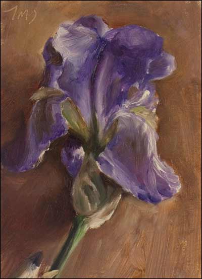daily painting titled Pale Blue Iris