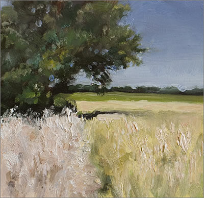 daily painting titled Wild Oats and Wheatfield