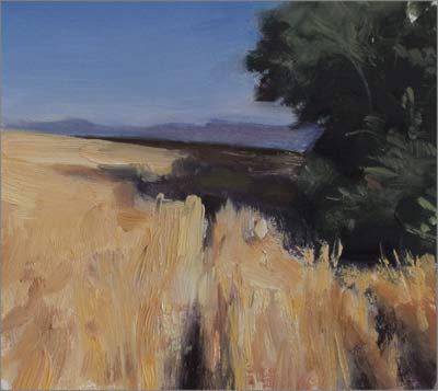 daily painting titled Wheatfield and Oak tree, study#1