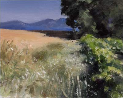 daily painting titled Wheatfield and Oak Tree, study#2