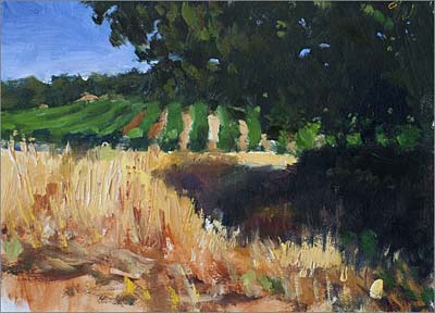daily painting titled Wheatfield and Vines