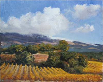 daily painting titled Vines under the Ventoux
