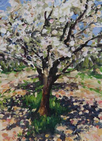 daily painting titled Cherry Blossom