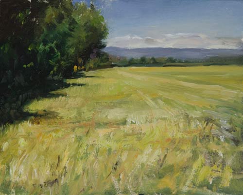 daily painting titled Champ de Ble Murissant (Ripening Wheatfield)