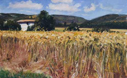 daily painting titled Cornfield and Mistral