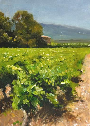 daily painting titled Vineyards at St. Pierre de Vassols