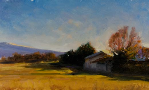 daily painting titled Morning near Aubignan