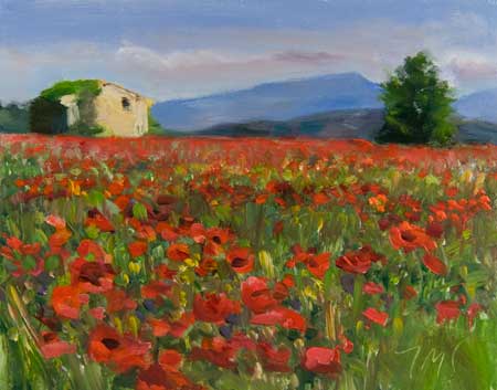 daily painting titled Field of Poppies