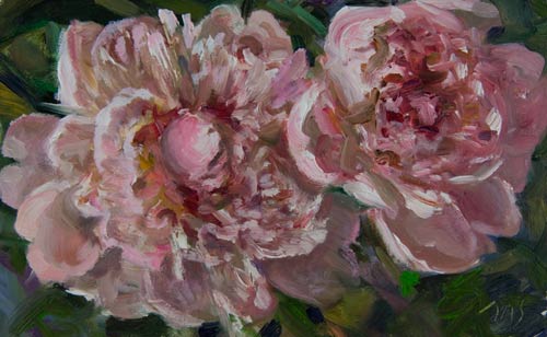 daily painting titled Peony Study
