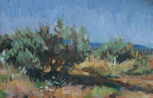 daily painting titled Olive Grove (Study no. 2)