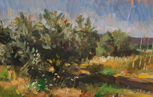 daily painting titled Olive Grove (study no.1)
