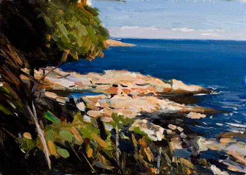 daily painting titled Mediterranean Coast at Llafranc, Spain
