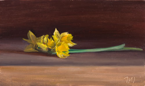daily painting titled Daffodils