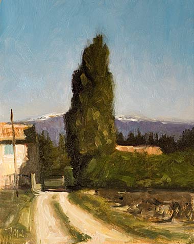 daily painting titled House, Shadow and Cypress Tree