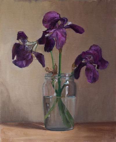 daily painting titled Bearded Irises