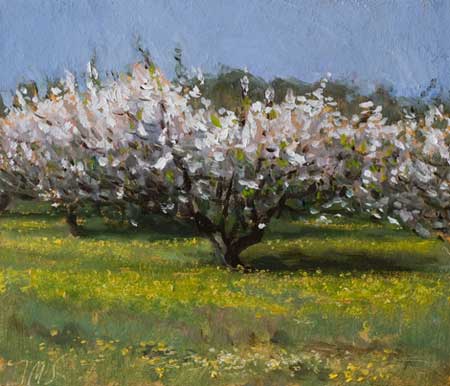 daily painting titled Chauvet's Orchard, Spring