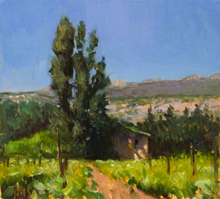 daily painting titled Vineyard at Beaumes de Venise