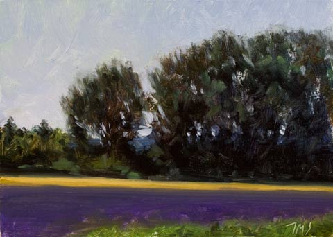 daily painting titled Summer Fields