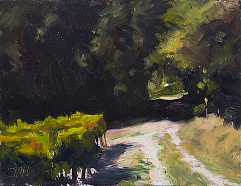 daily painting titled A Path by a Vineyard