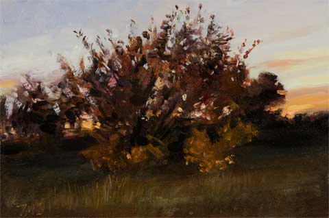 daily painting titled The Truffle Orchard, Twilight