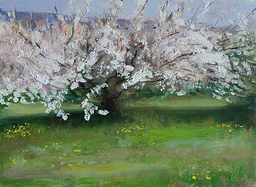 daily painting titled Cherry blossom