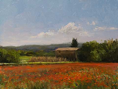 daily painting titled Poppy field, Bonnieux