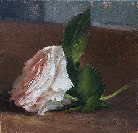 daily painting titled Rose Felicity Parmentier