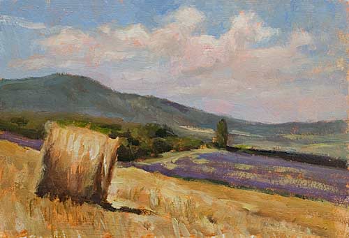 daily painting titled Hay bales and lavender fields