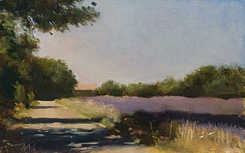 daily painting titled Road through lavender fields